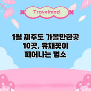 1월 제주도 가볼만한곳 10곳, 유채꽃이 피어나는 명소