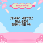 5월 제주도 가볼만한곳 10곳, 봄꽃과 함께하는 여행 추천