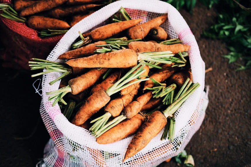 Harvest