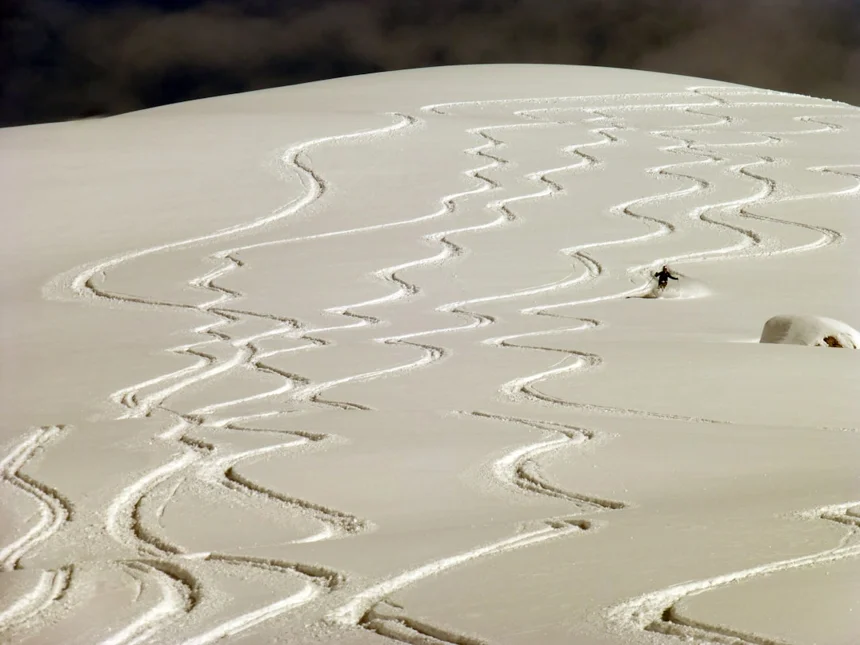 Ski