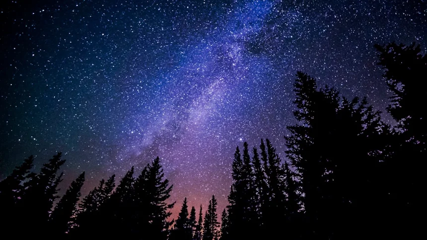 Stars