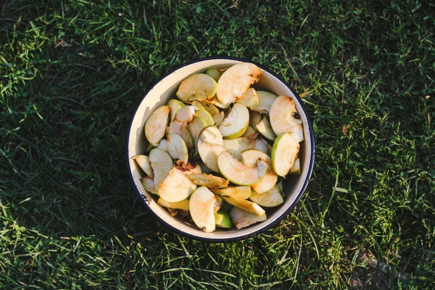 Abalone