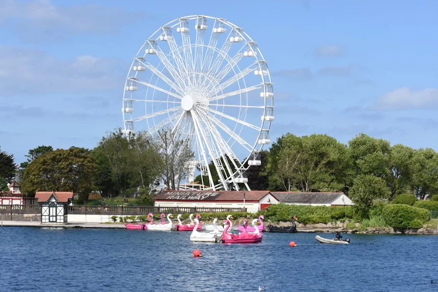 Amusement