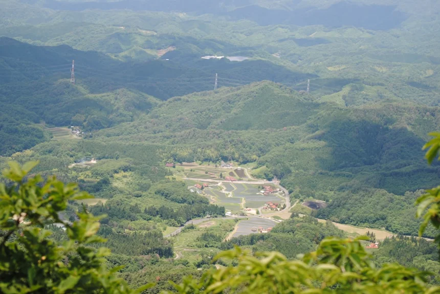 Anmyeondo