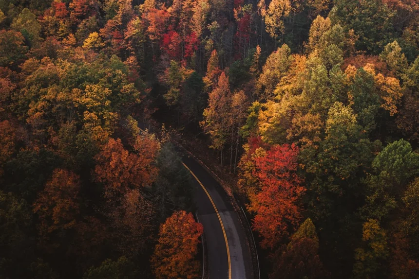 Autumn