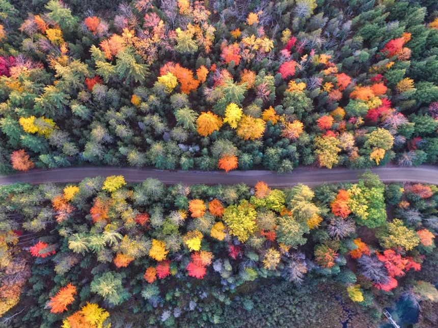 Autumn