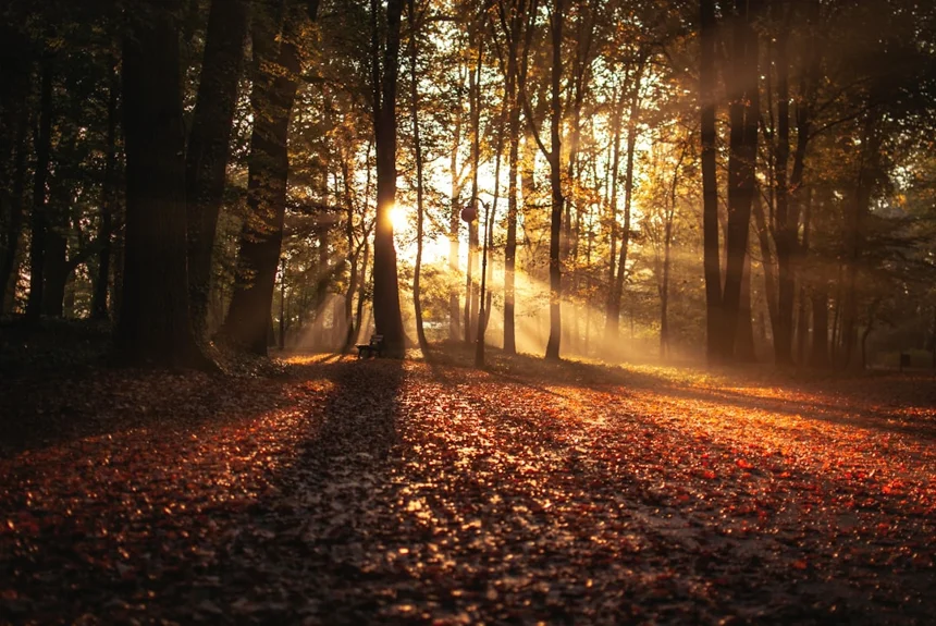 Autumn