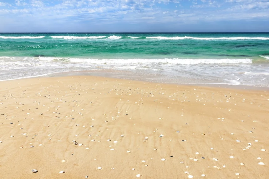 Beach.