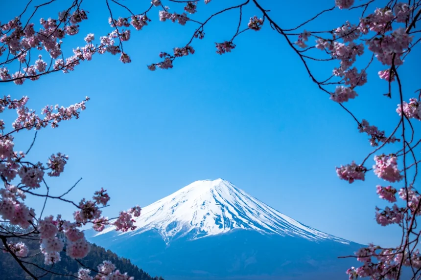 Blossom