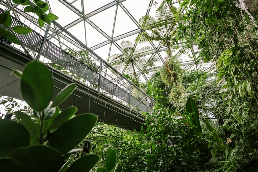 Botanical Garden