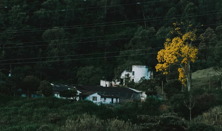 Buseoksa