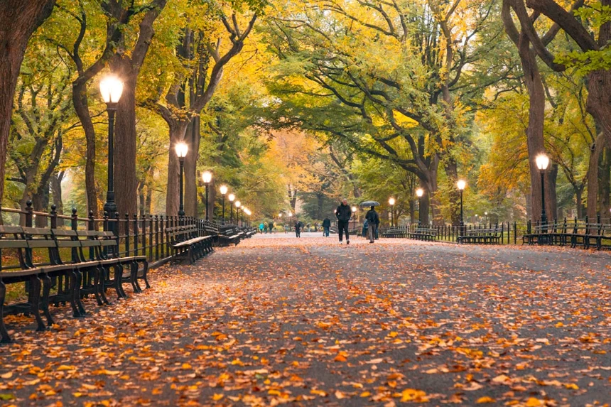 Central Park