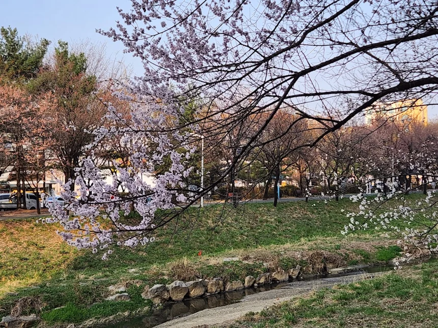Cheomseongdae
