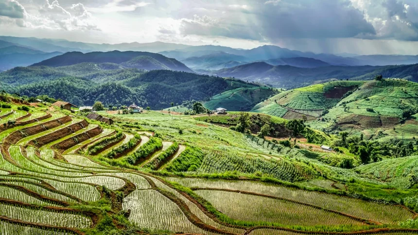 Chiang Mai