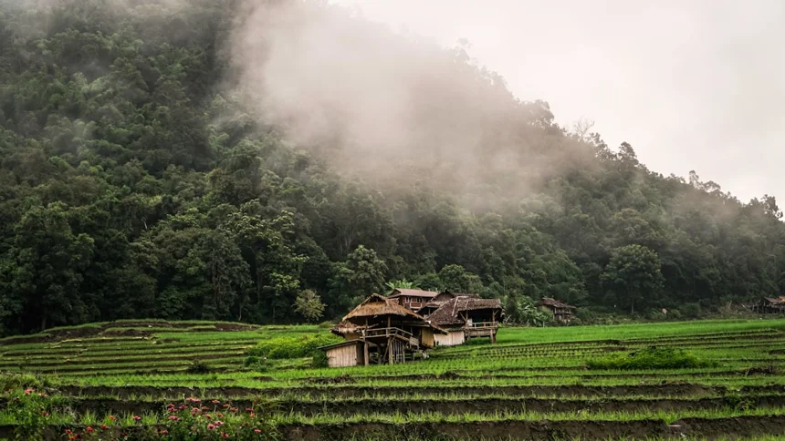 Chiang Mai