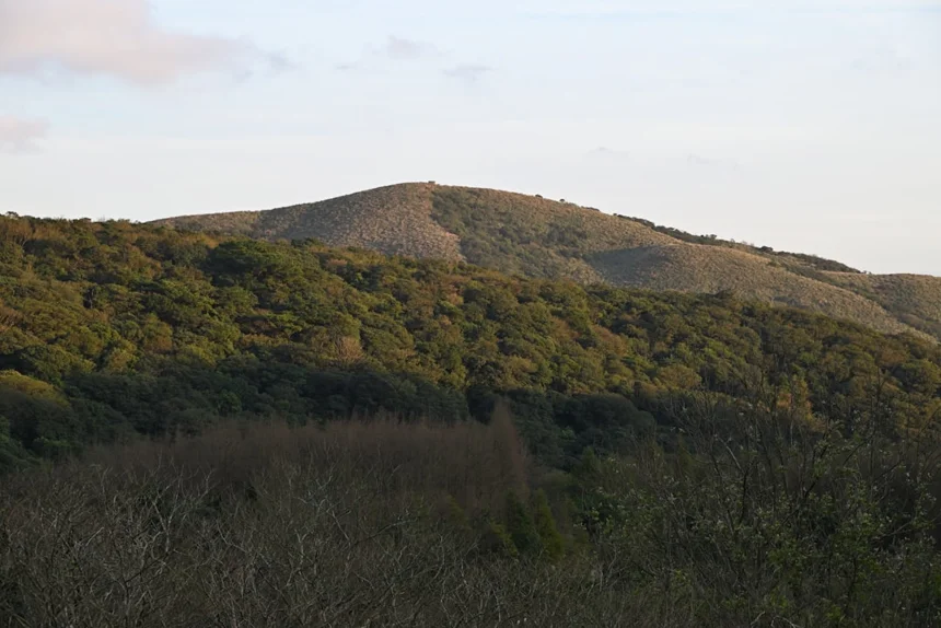 Chocolate Hill