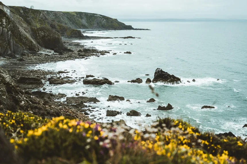 Coastal exploration