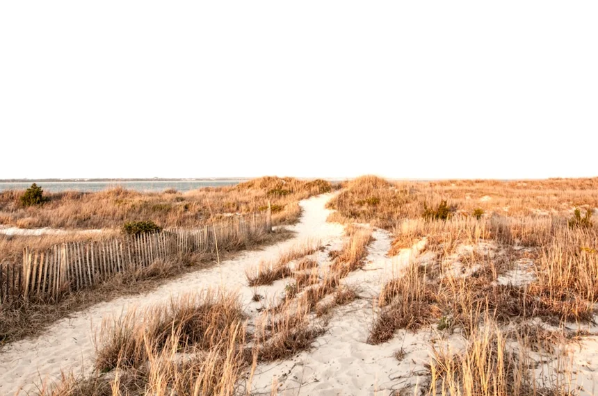 Coastal