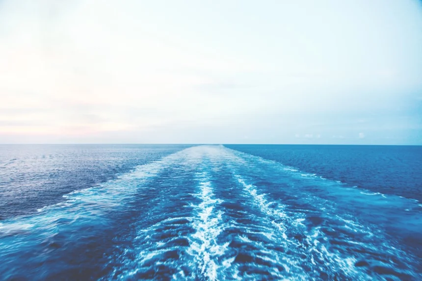 Cruise