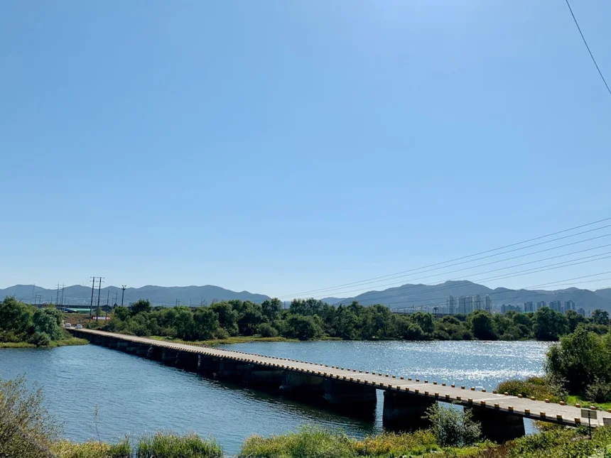 Daegu