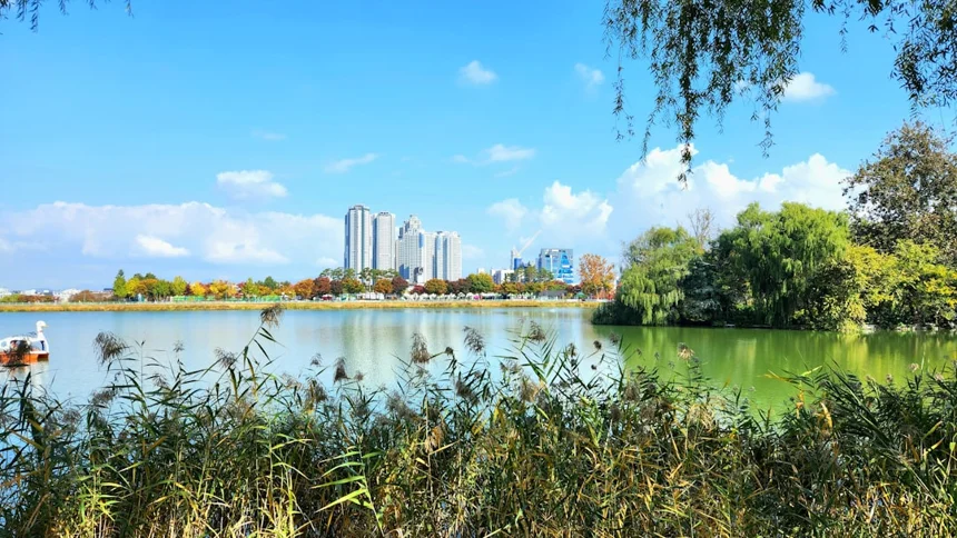 Daegu