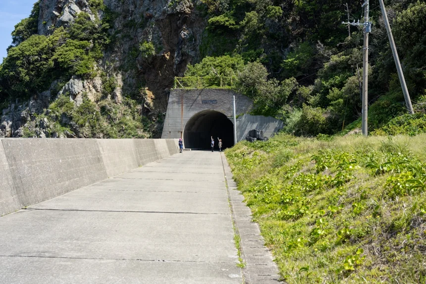 Danyang Moss Tunnel