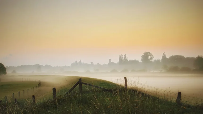Dawn