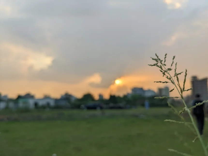 Day.