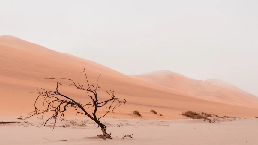 Desert