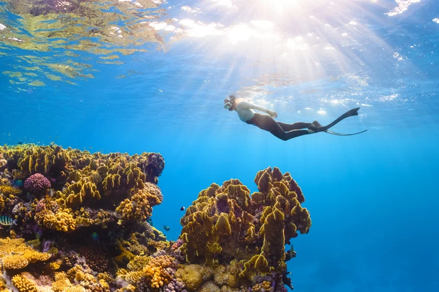 Diving
