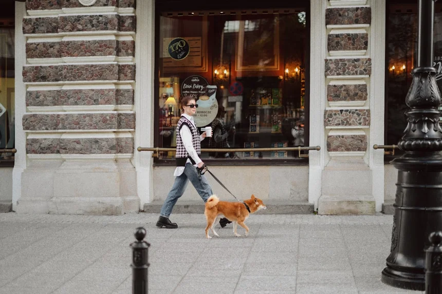 Dog café