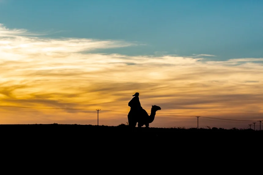 Don Quijote