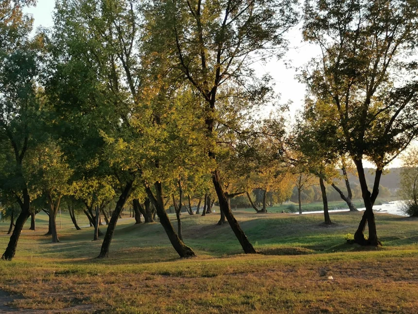 Duryu Park