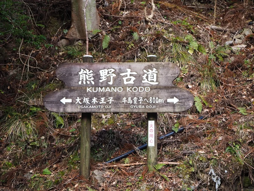 Ecotourism