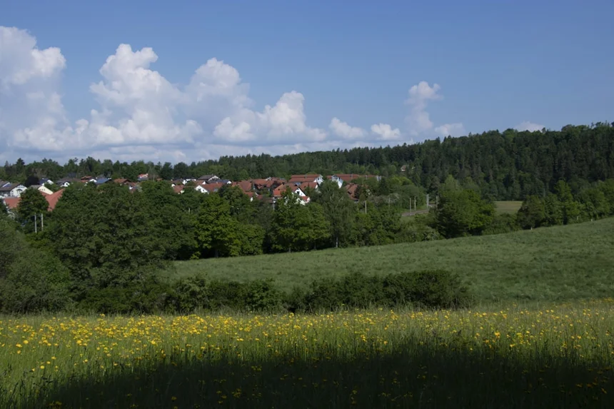 Eulwangri