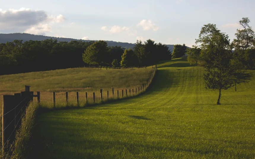 Farm.