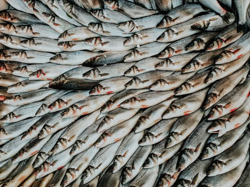 Fish market