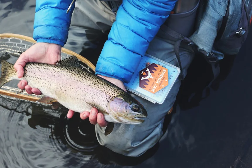 Fishing