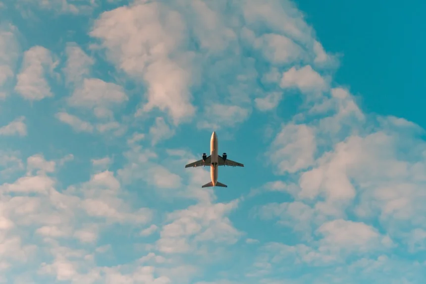 Flight