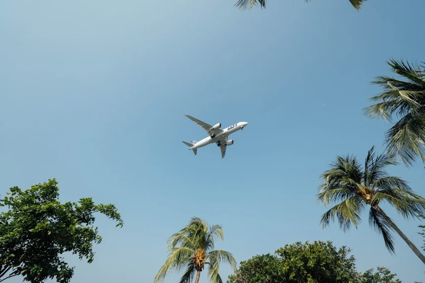 Flight