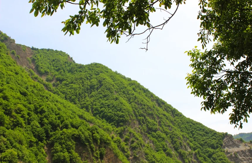 Gaya Mountain