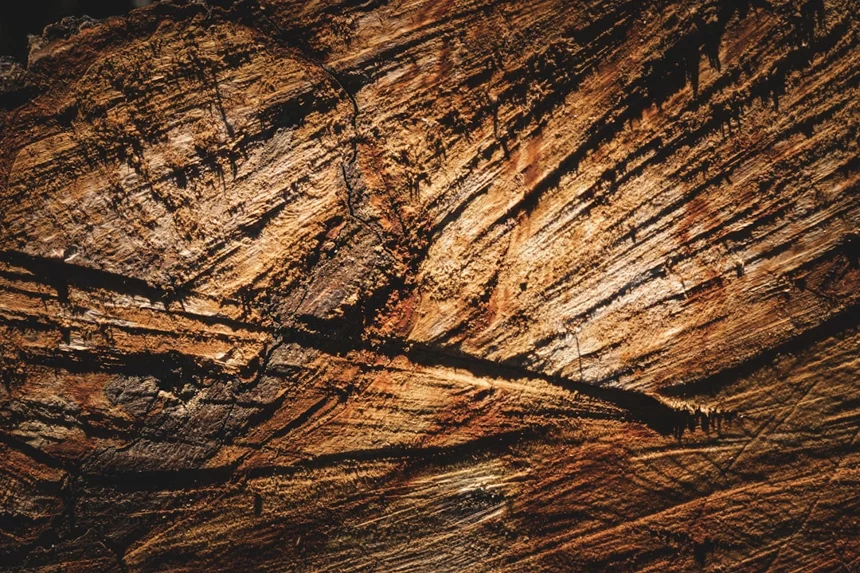 Geological Heritage