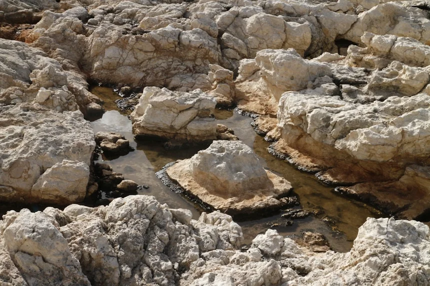 Geosite