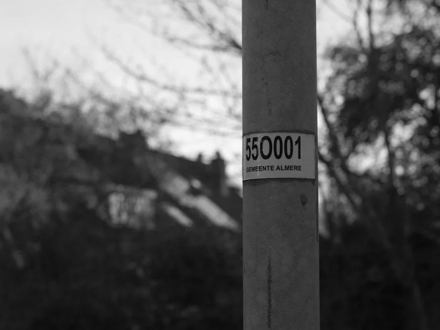Goesan