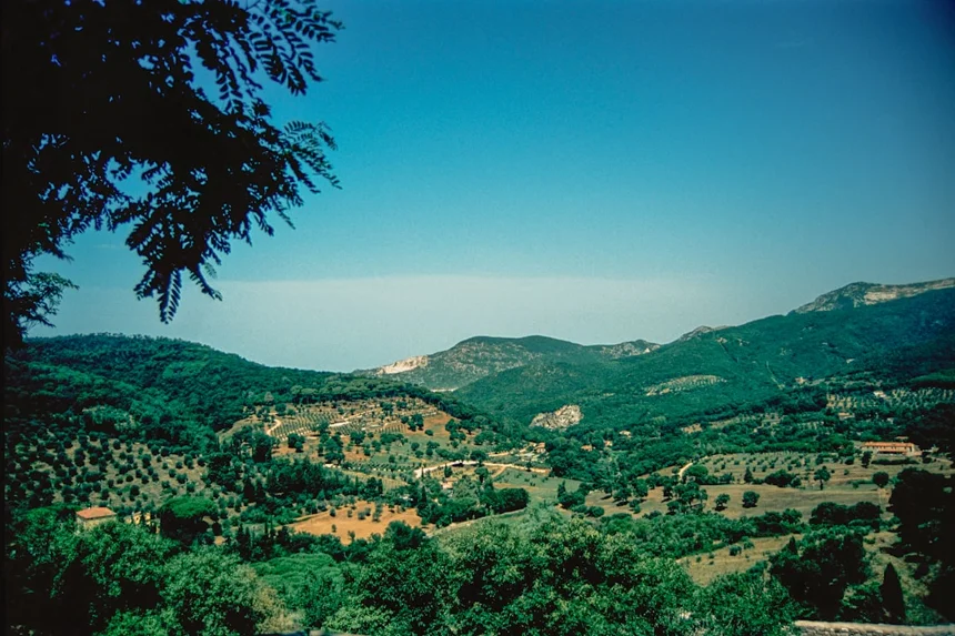 Gonjiam