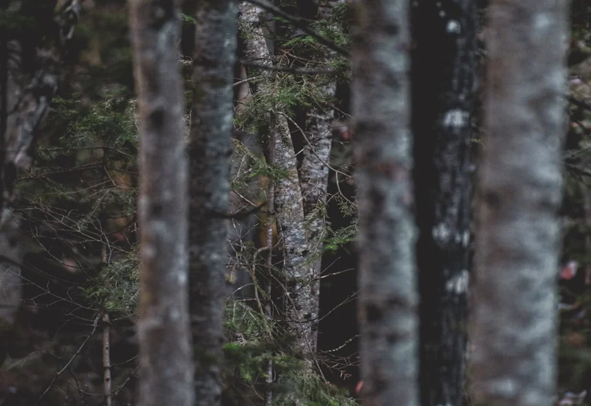 HIDDEN SPOTS