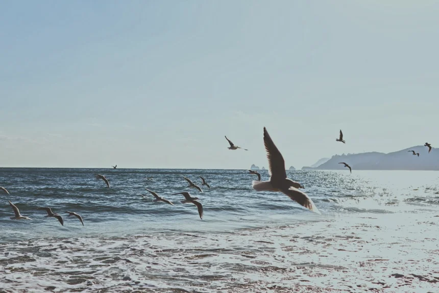 Haeundae