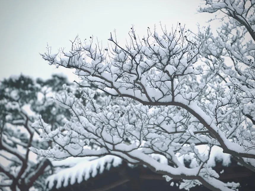 Hanok Village