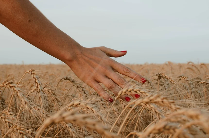 Harvest