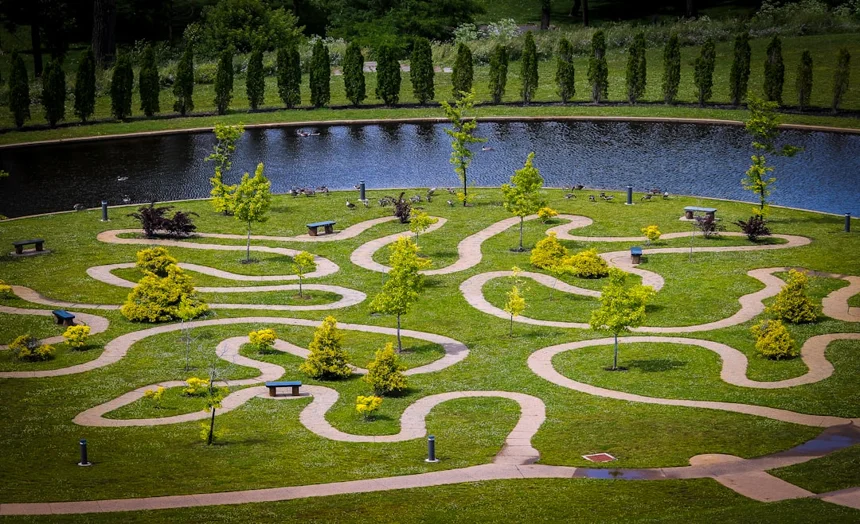 Healing Path